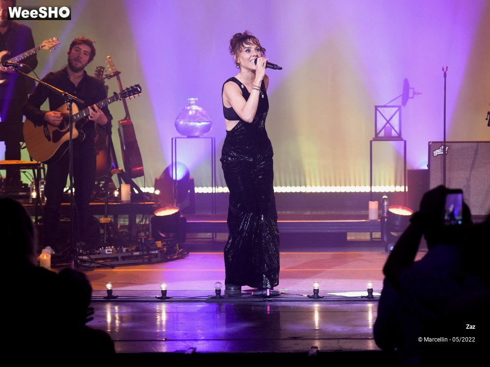 12/64 photos du spectacle ZAZ