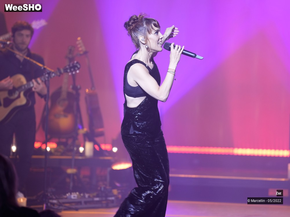 17/64 photos du spectacle ZAZ