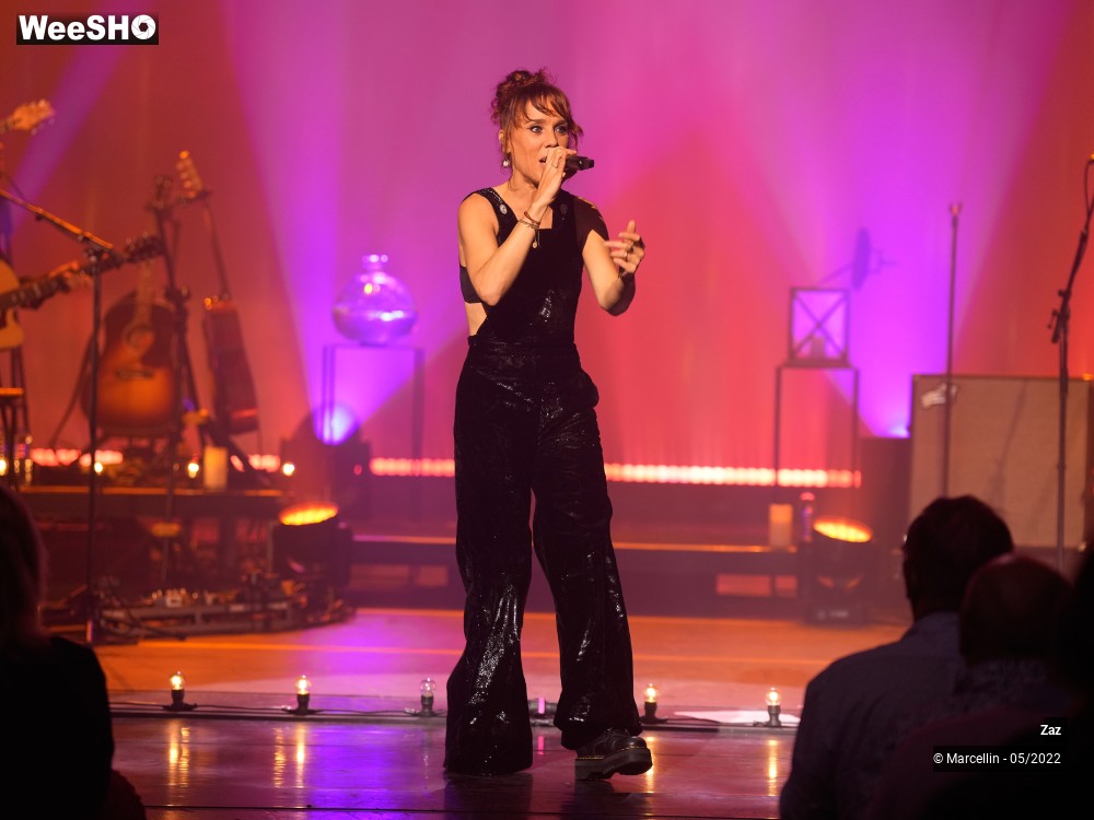 18/64 photos du spectacle ZAZ