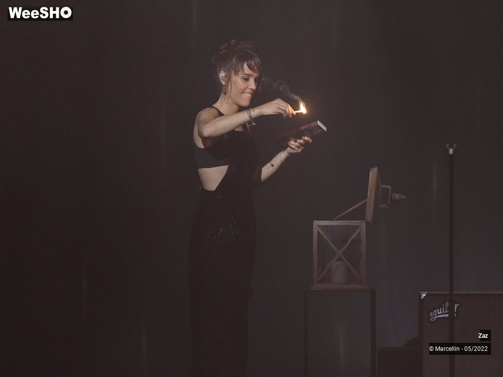 23/64 photos du spectacle ZAZ