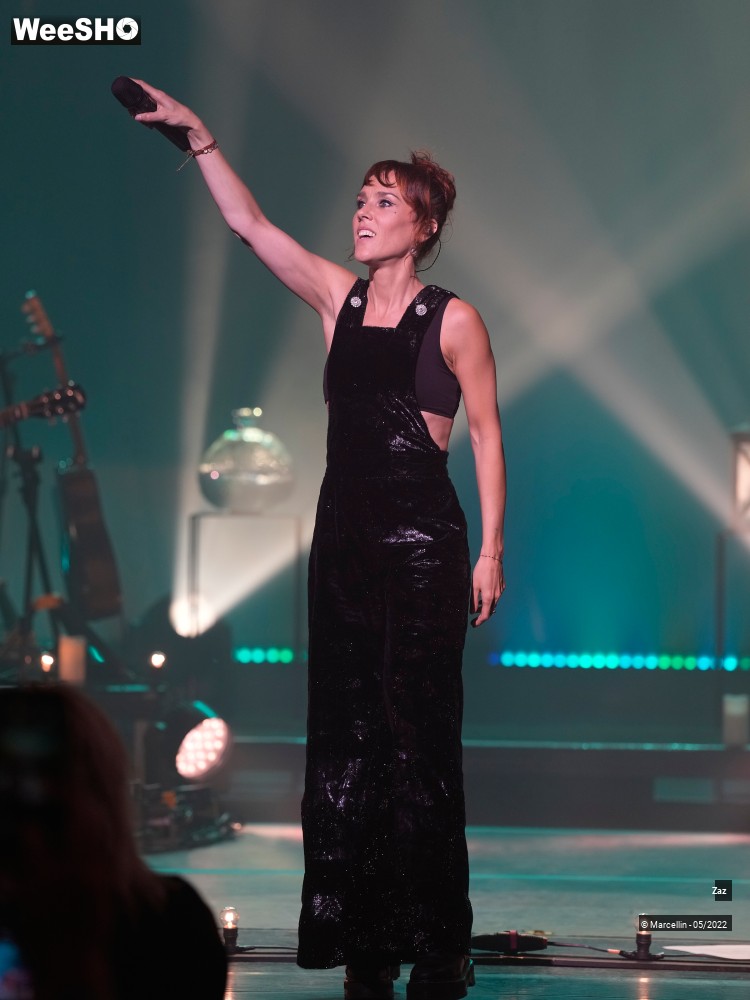 47/64 photos du spectacle ZAZ