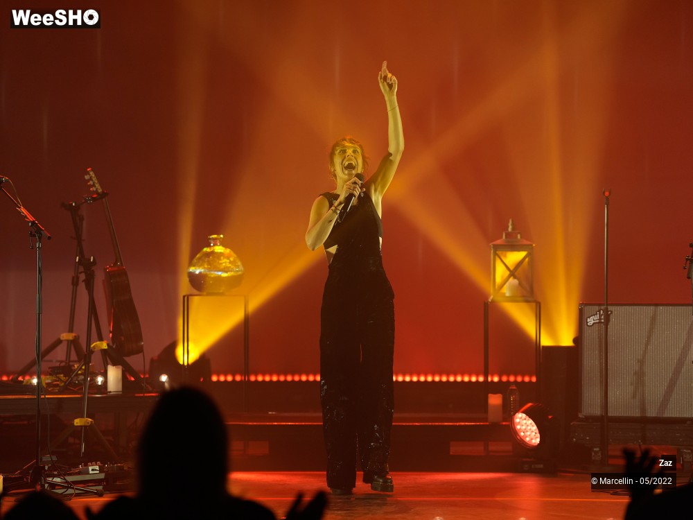 59/64 photos du spectacle ZAZ