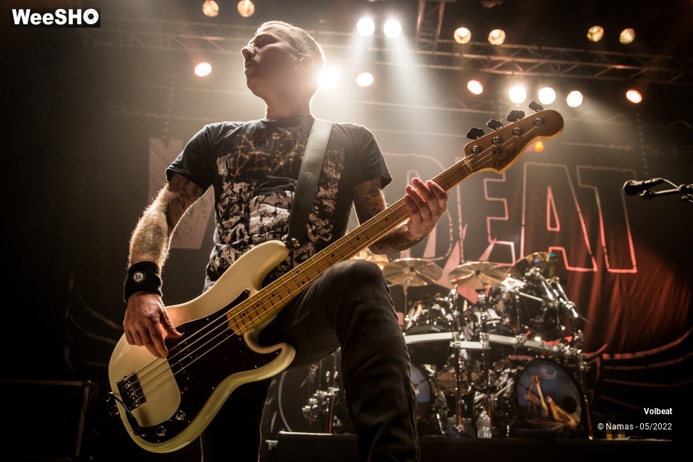 14/39 photos du spectacle Volbeat