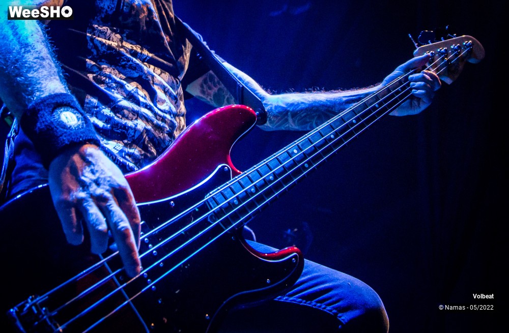 29/39 photos du spectacle Volbeat