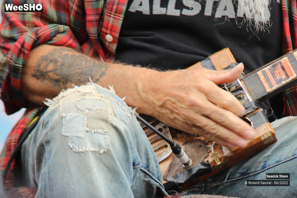 14/36 photos du spectacle Seasick Steve