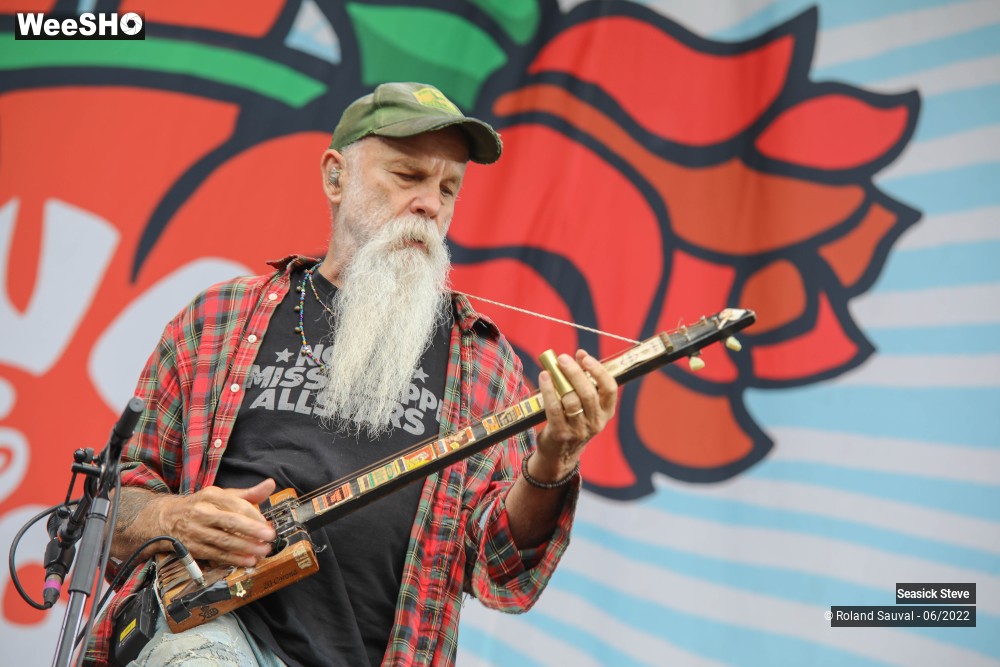 18/36 photos du spectacle Seasick Steve
