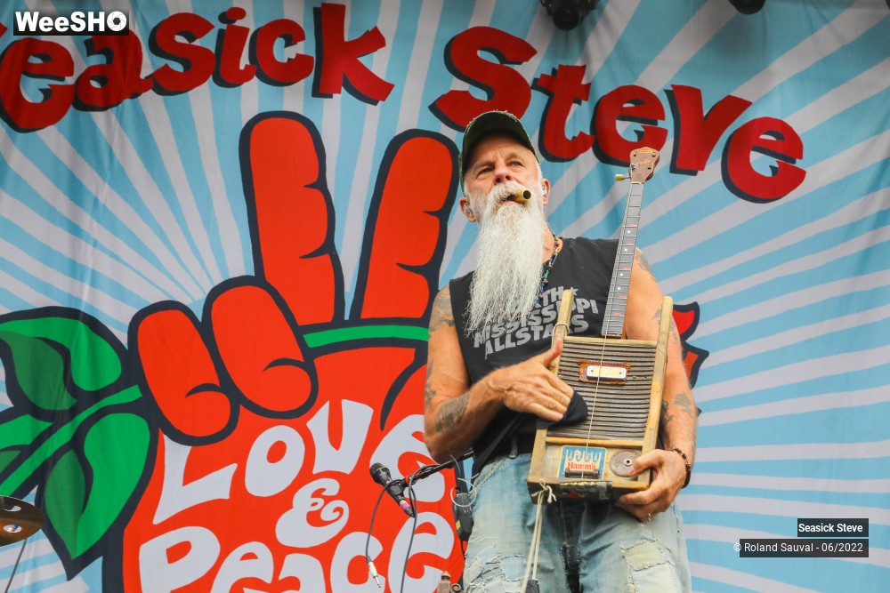 29/36 photos du spectacle Seasick Steve