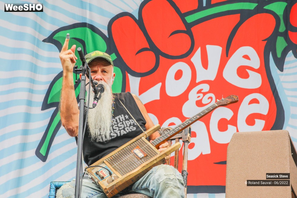 30/36 photos du spectacle Seasick Steve