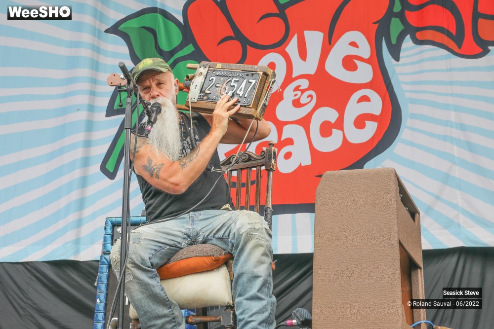 31/36 photos du spectacle Seasick Steve