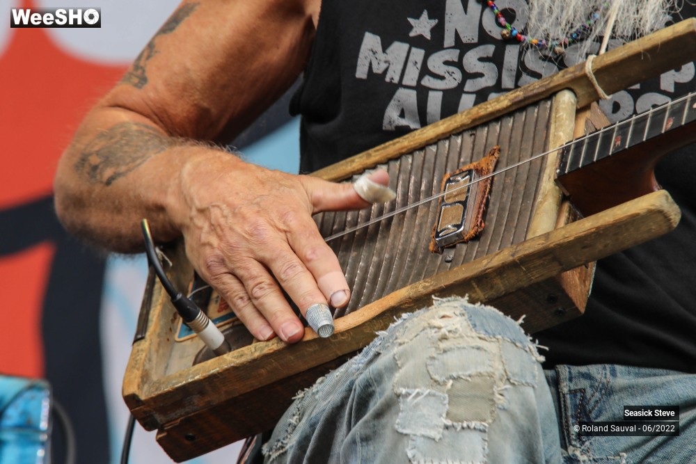 34/36 photos du spectacle Seasick Steve