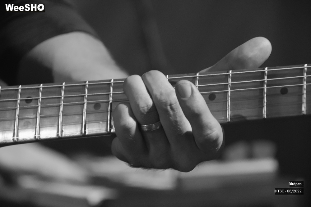 5/15 photos du spectacle Birdpen