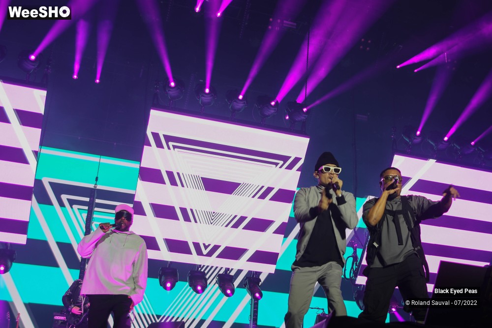 21/28 photos du spectacle Black Eyed Peas