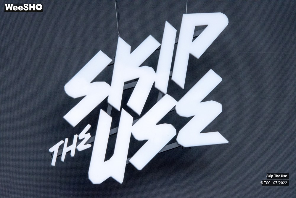 1/46 photos du spectacle Skip the Use