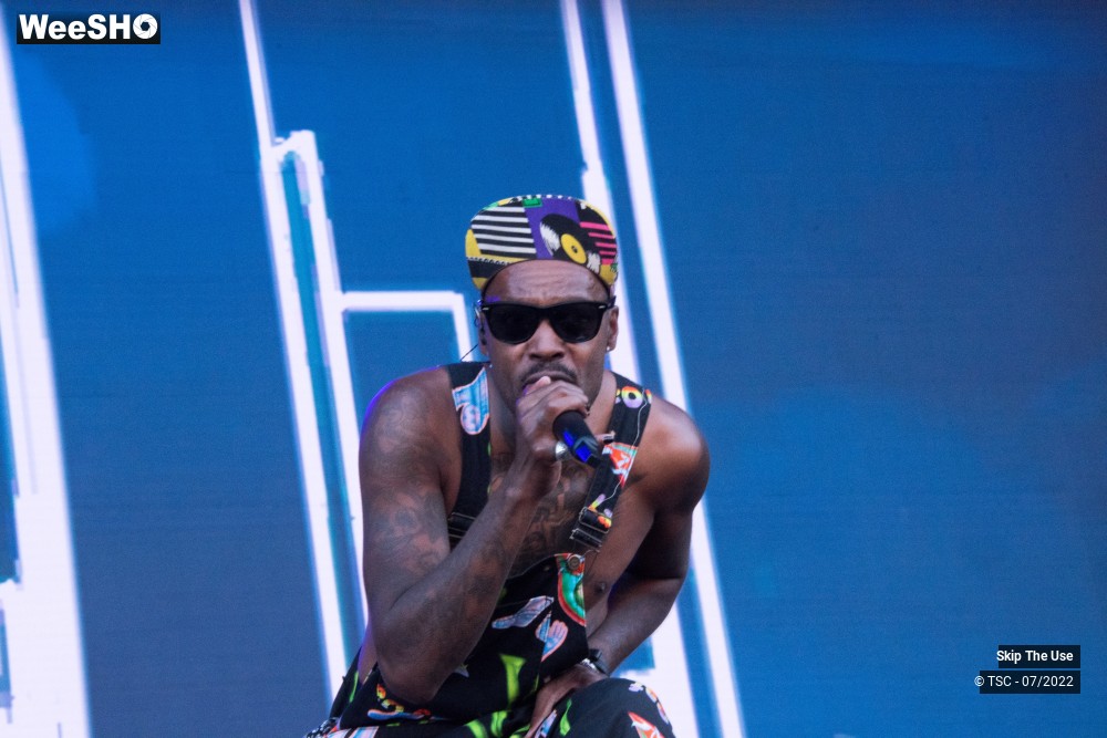 13/46 photos du spectacle Skip the Use