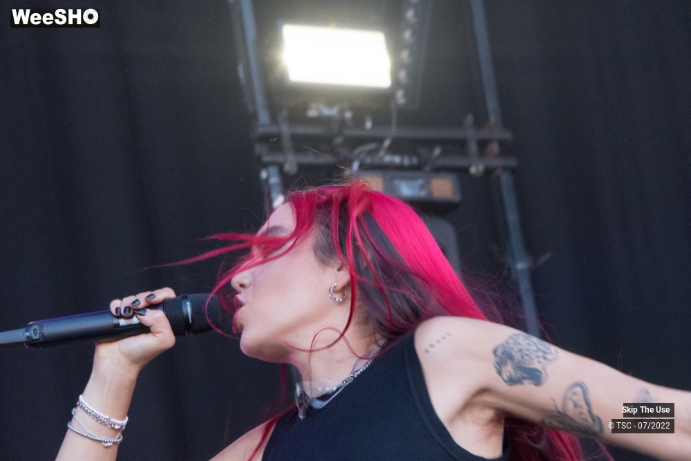 24/46 photos du spectacle Skip the Use