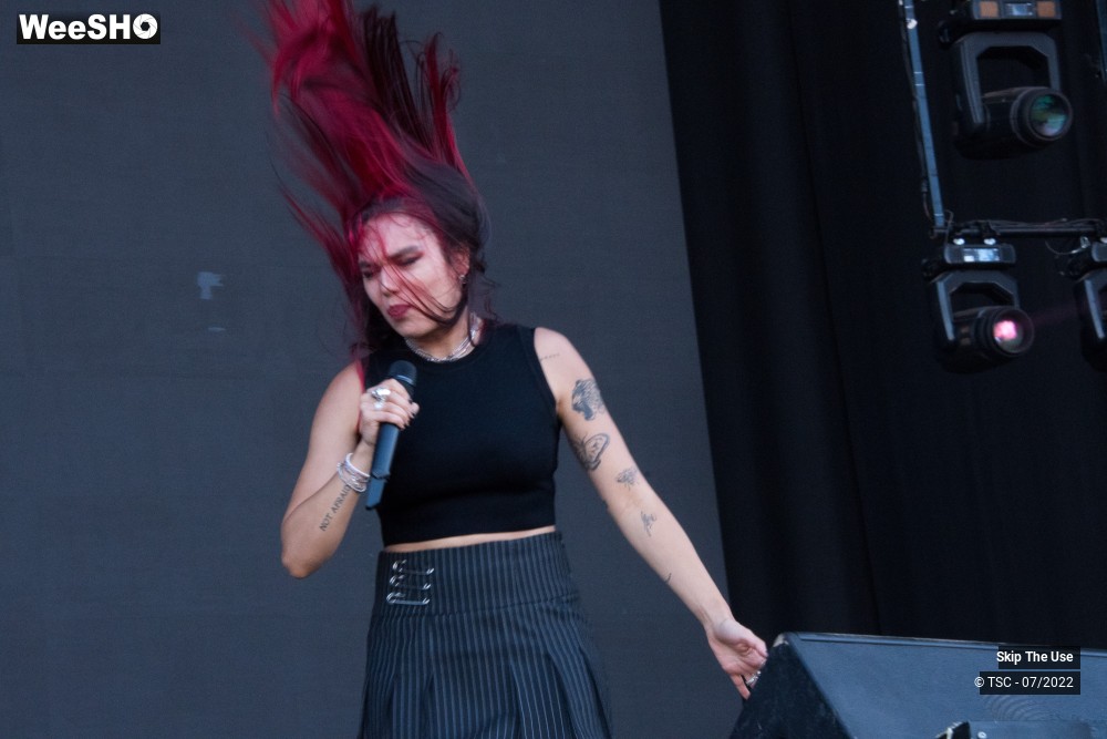 25/46 photos du spectacle Skip the Use