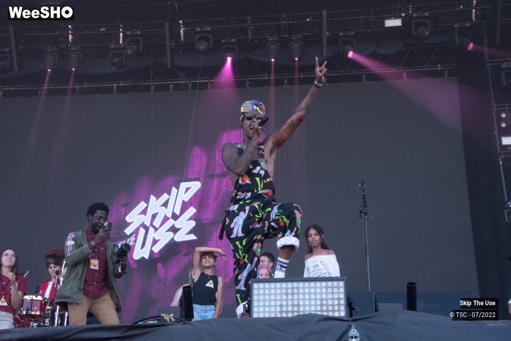 28/46 photos du spectacle Skip the Use