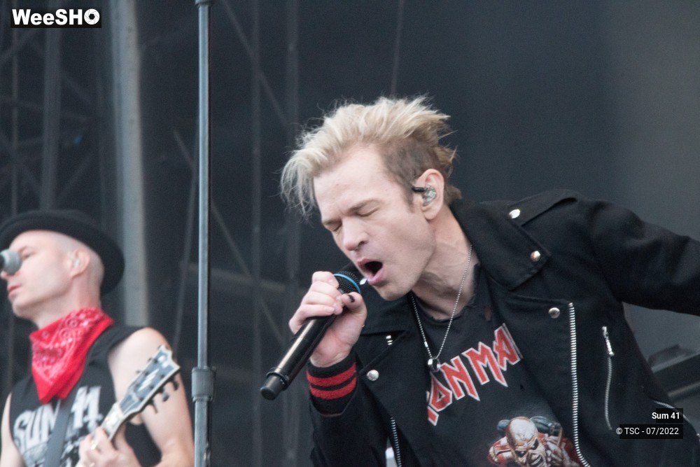 17/25 photos du spectacle Sum 41