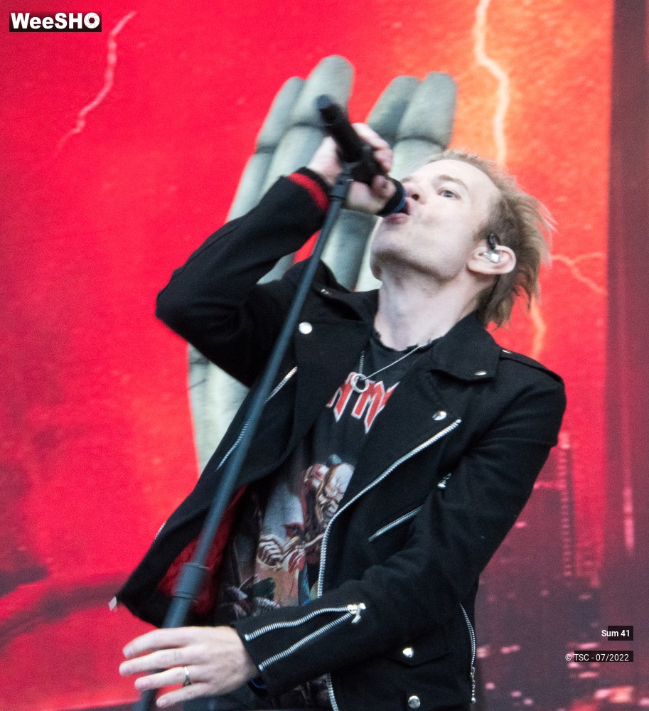 18/25 photos du spectacle Sum 41