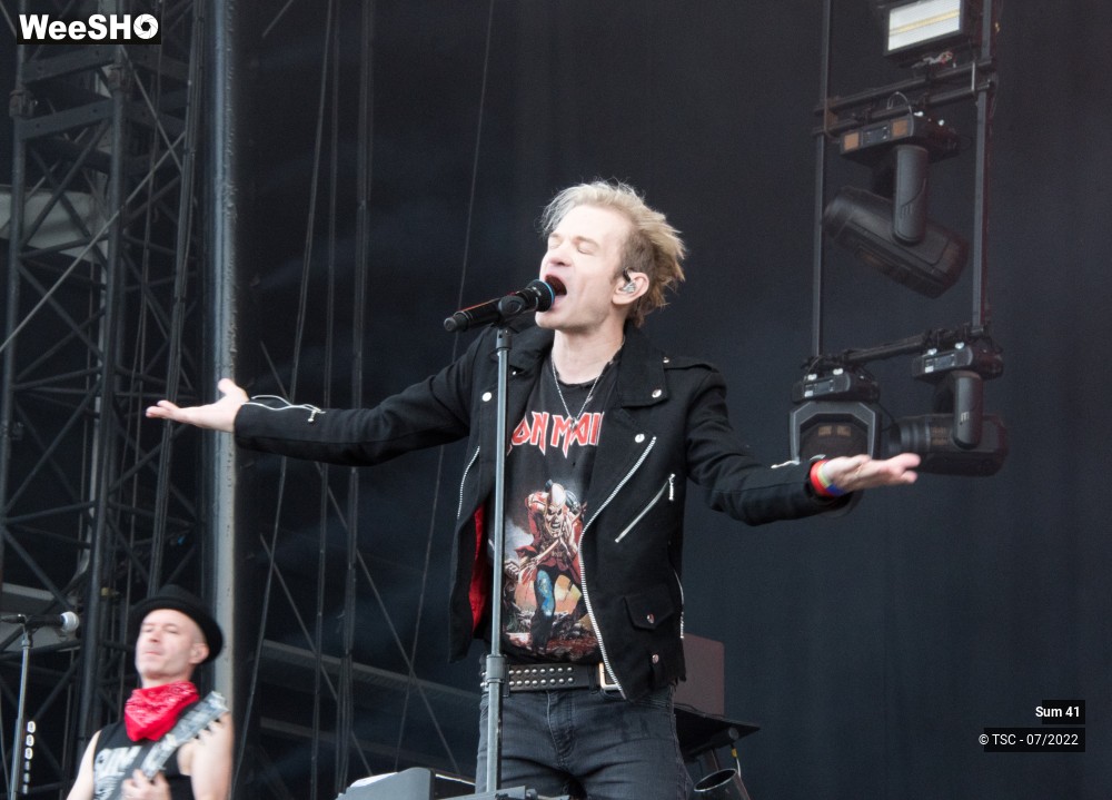 19/25 photos du spectacle Sum 41