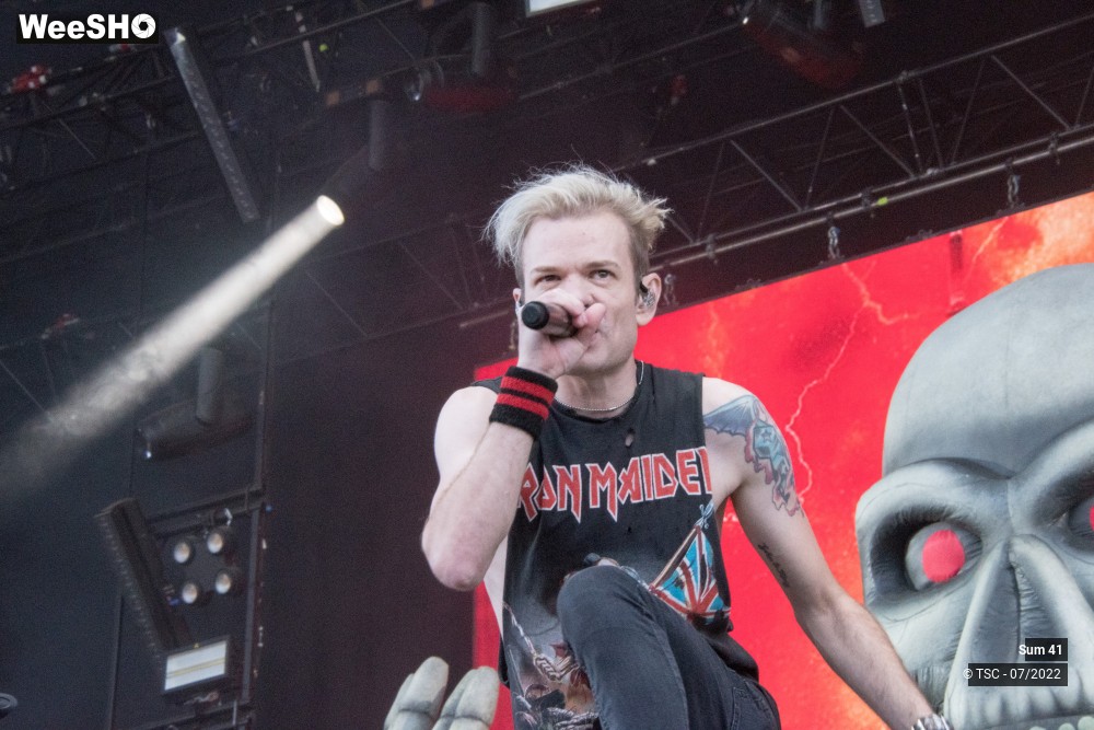 20/25 photos du spectacle Sum 41