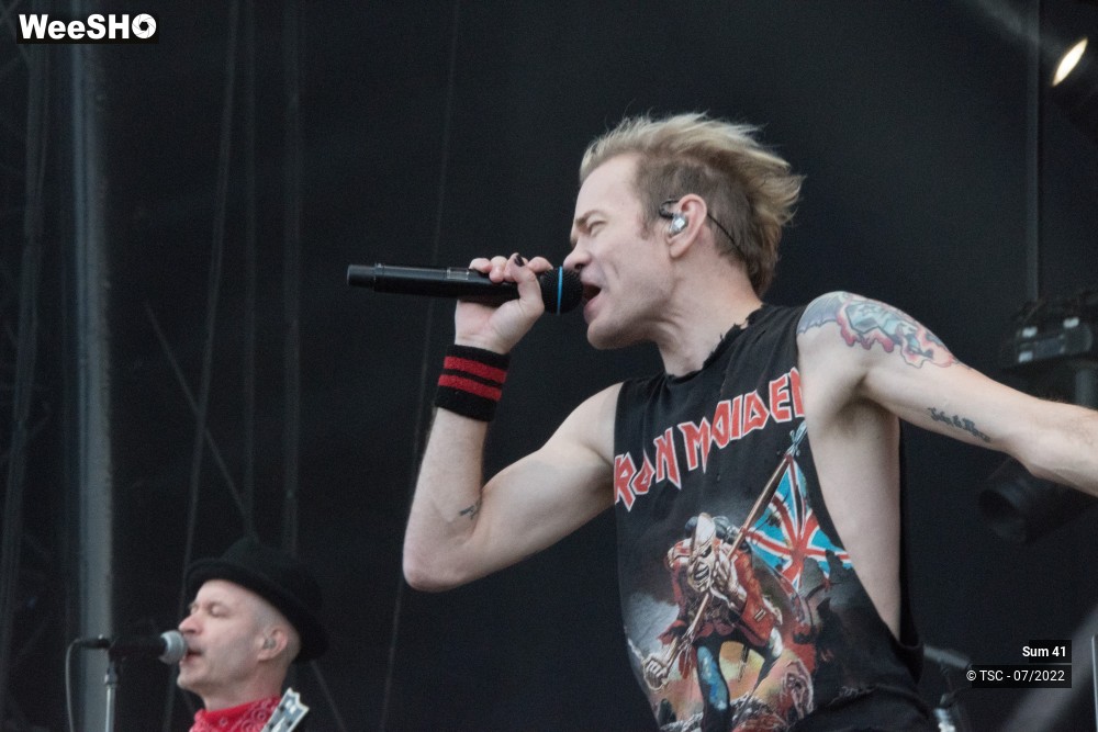 22/25 photos du spectacle Sum 41