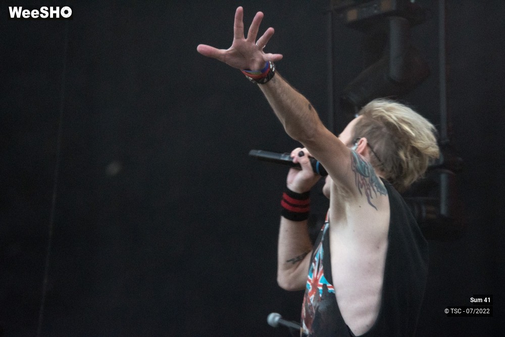 23/25 photos du spectacle Sum 41