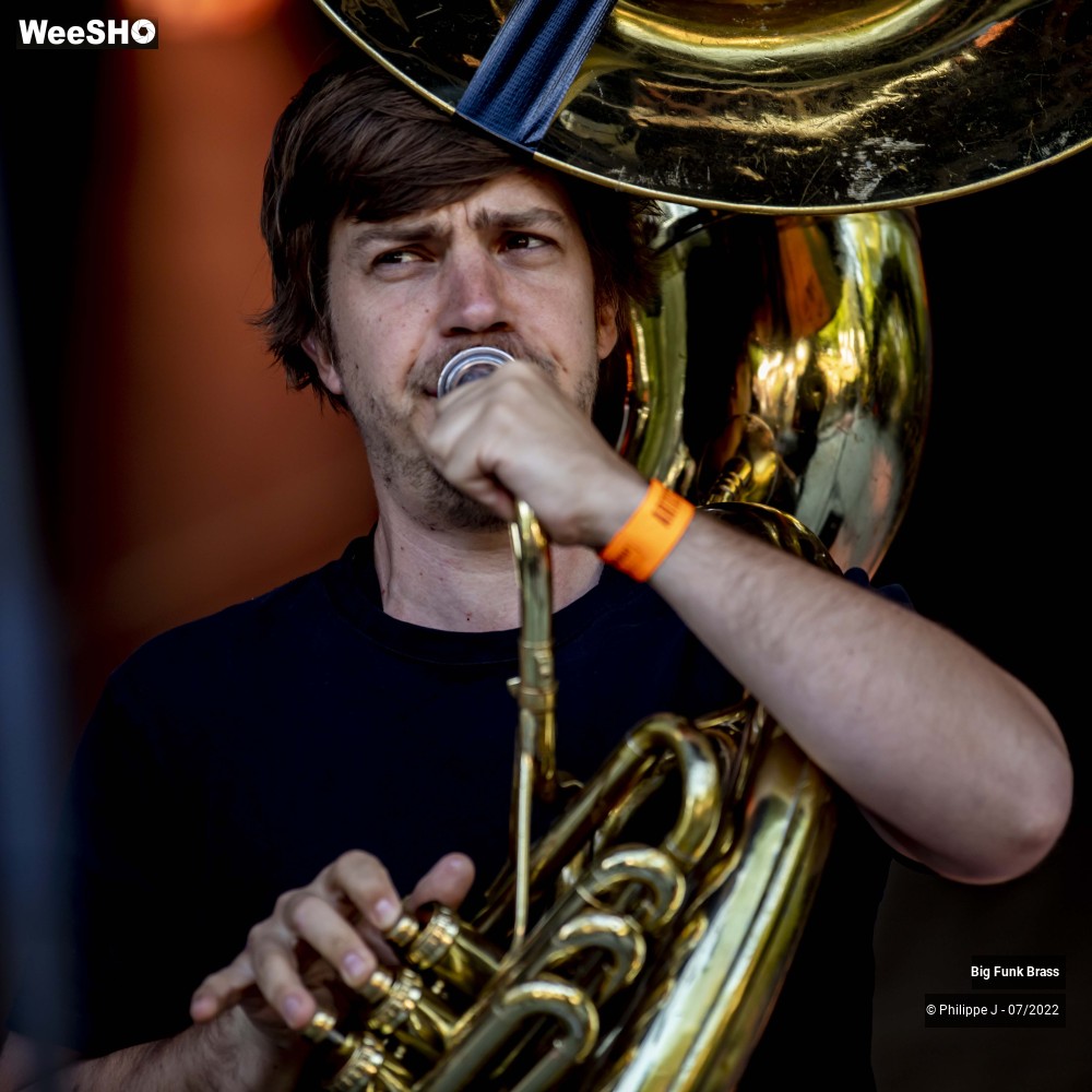 11/15 photos du spectacle Big Funk Brass