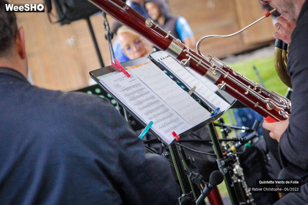 11/19 photos du spectacle Quintette Vents de Folie