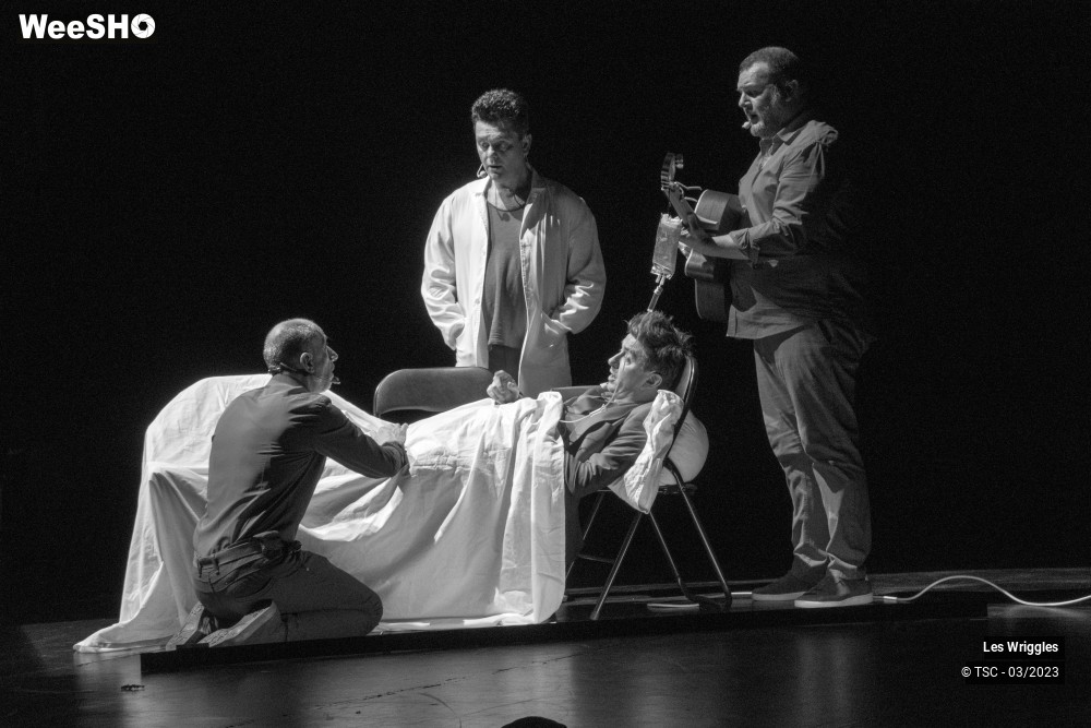 5/8 photos du spectacle Les Wriggles se mettent en quatre