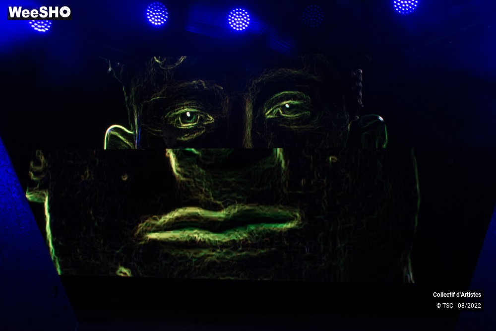 6/9 photos du spectacle Denis Sulta