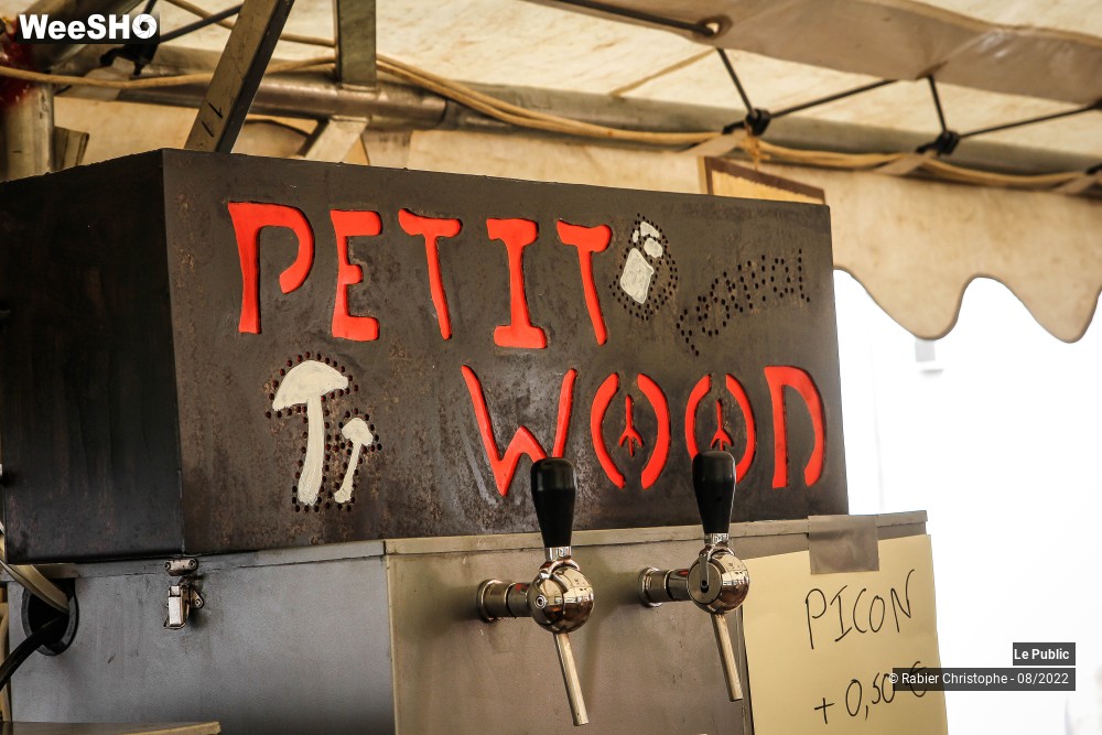 33/54 photos du spectacle Ambiance 3 au Festival Le P'tit wood 2022