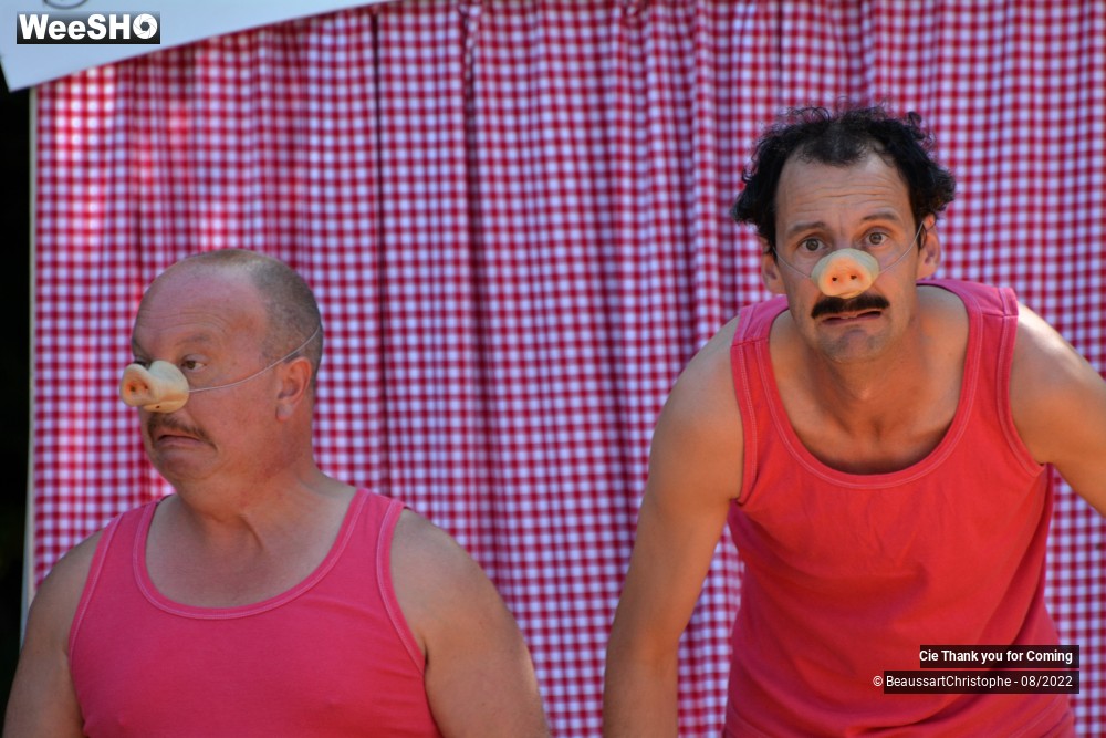 4/40 photos du spectacle Cochon-Cochon
