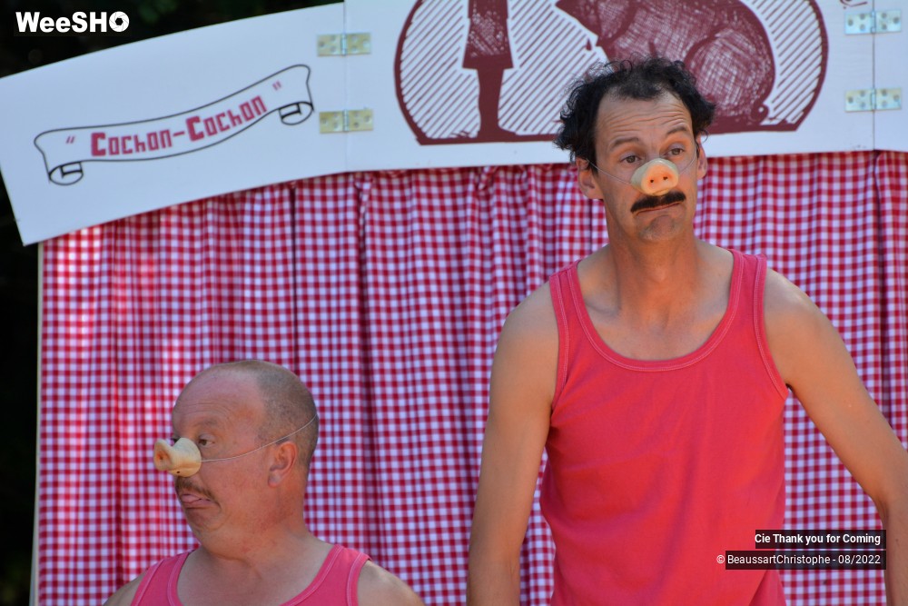 5/40 photos du spectacle Cochon-Cochon