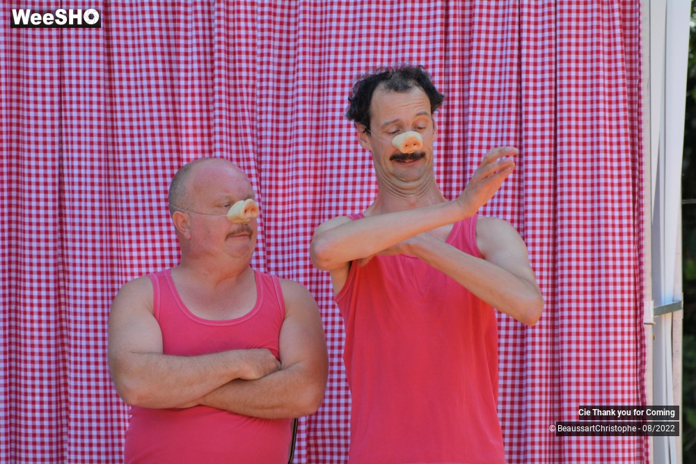 12/40 photos du spectacle Cochon-Cochon
