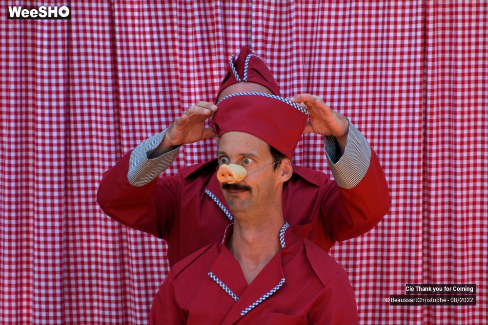 24/40 photos du spectacle Cochon-Cochon