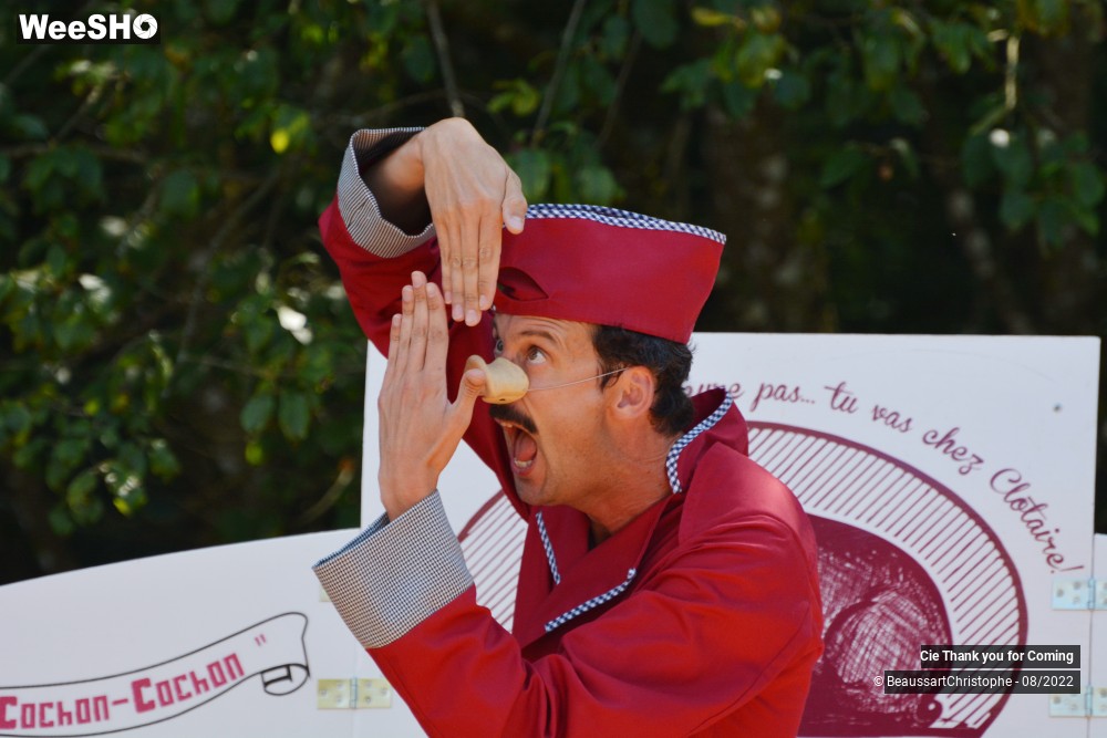 25/40 photos du spectacle Cochon-Cochon