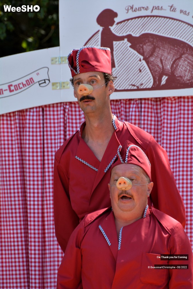 27/40 photos du spectacle Cochon-Cochon