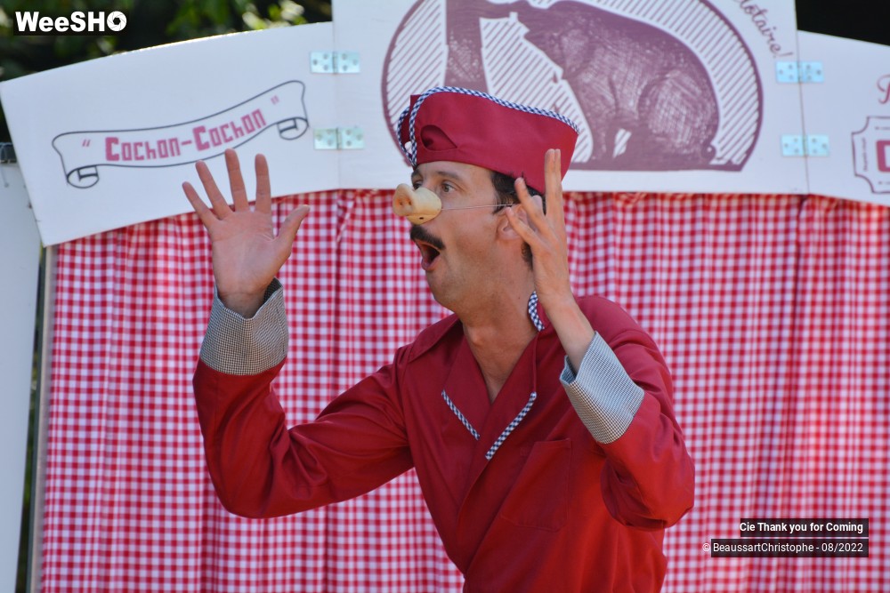 28/40 photos du spectacle Cochon-Cochon