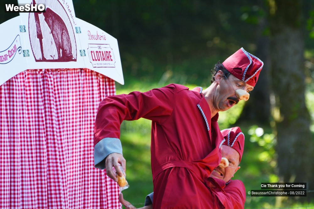 30/40 photos du spectacle Cochon-Cochon