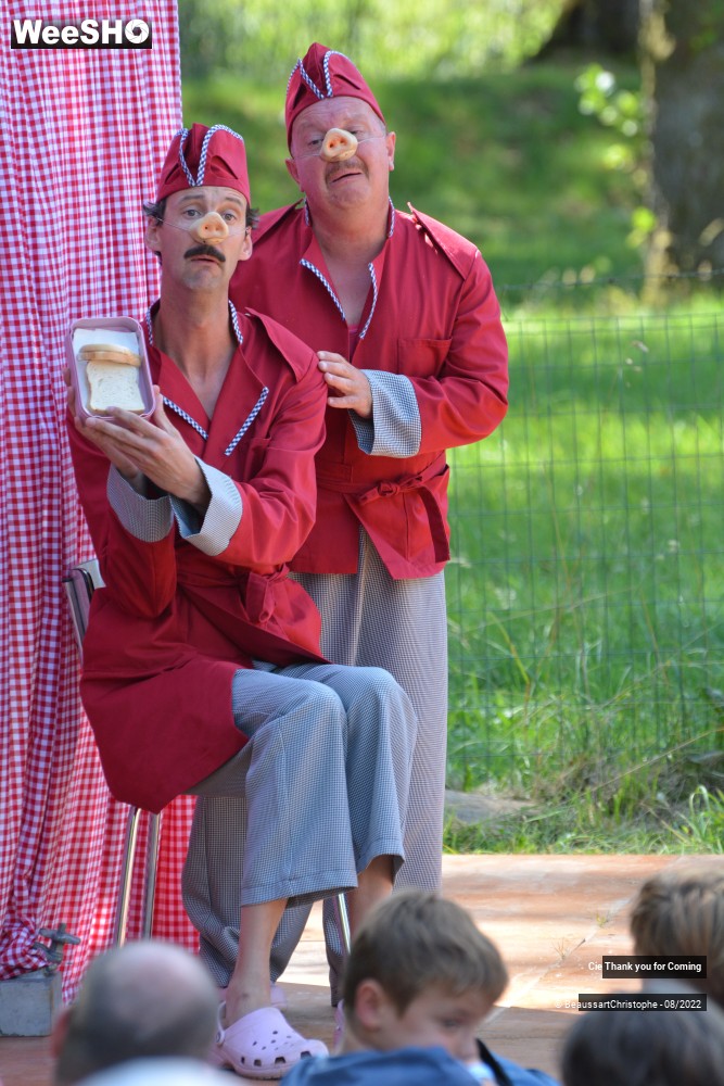 33/40 photos du spectacle Cochon-Cochon