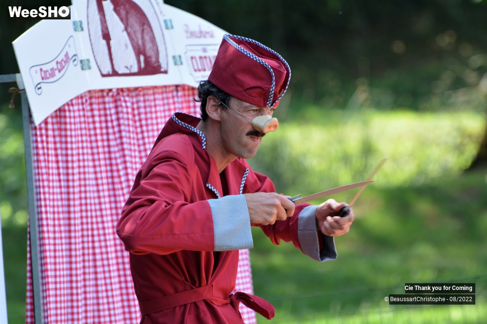 35/40 photos du spectacle Cochon-Cochon