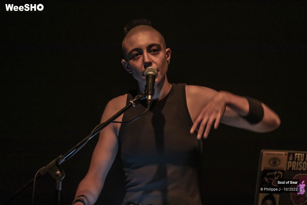 1/20 photos du spectacle Soul of Bear