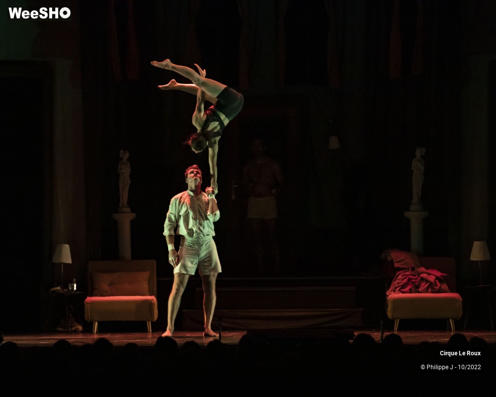 13/20 photos du spectacle La Nuit du Cerf