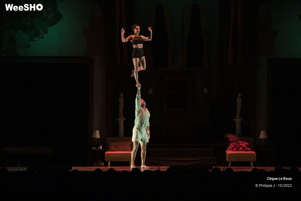 14/20 photos du spectacle La Nuit du Cerf