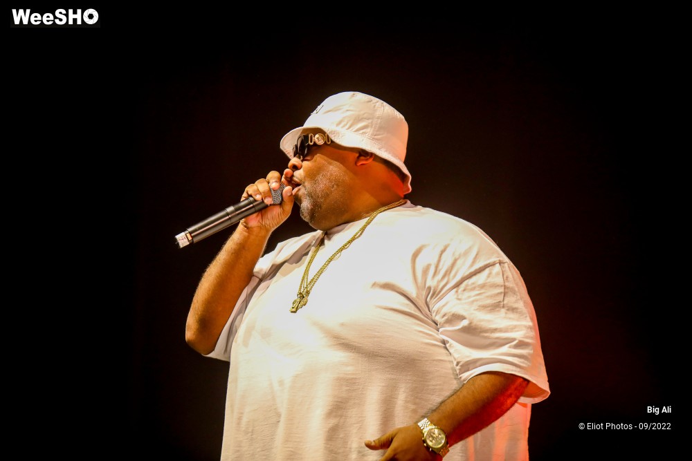 3/8 photos du spectacle Big Ali