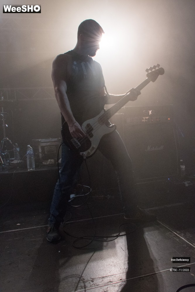6/8 photos du spectacle Iron deficiency