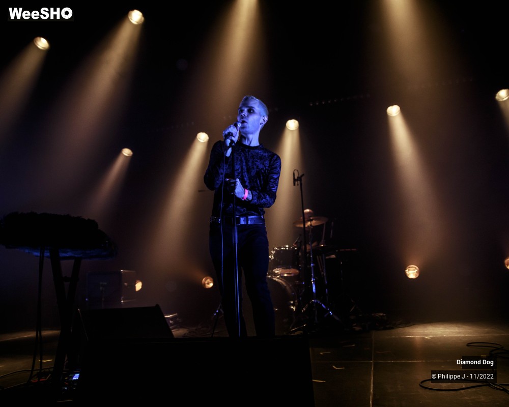 1/10 photos du spectacle Diamond Dog