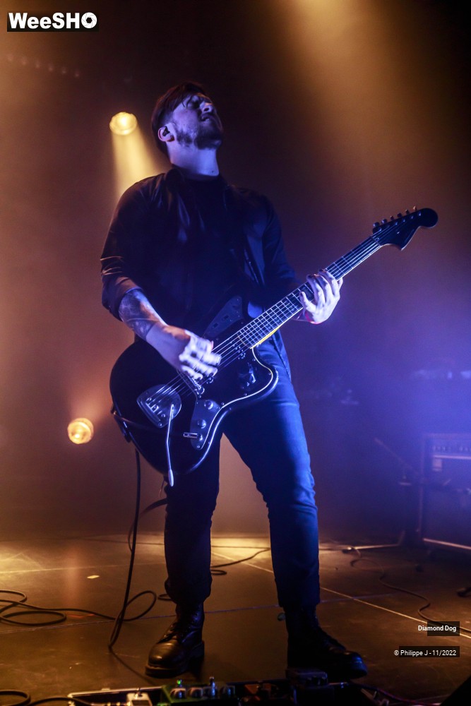 2/10 photos du spectacle Diamond Dog