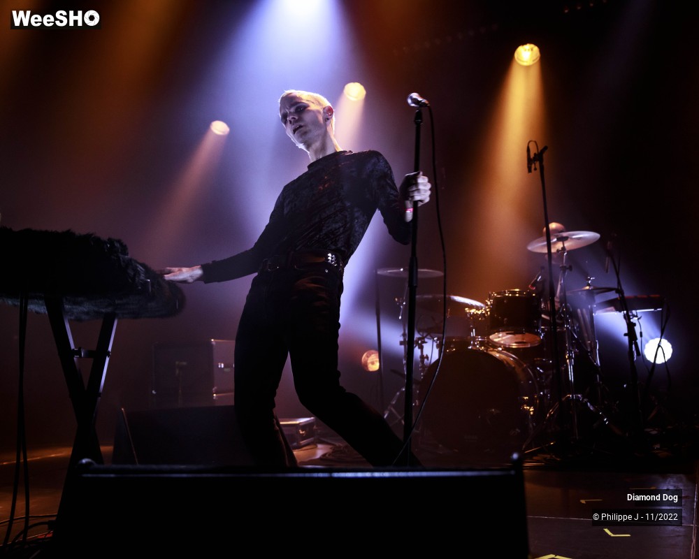 3/10 photos du spectacle Diamond Dog